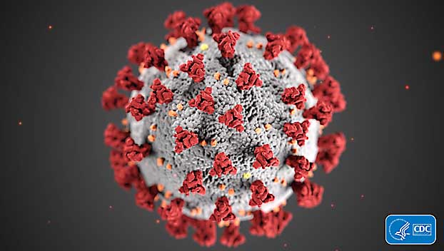 coronavirus